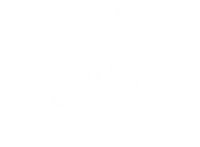 LIVVO B2B