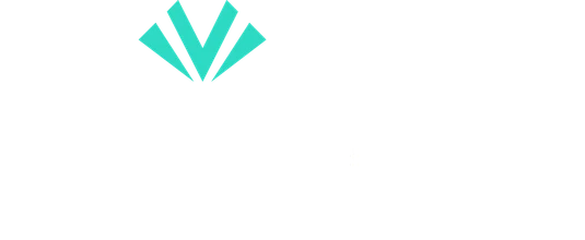LIVVO plus