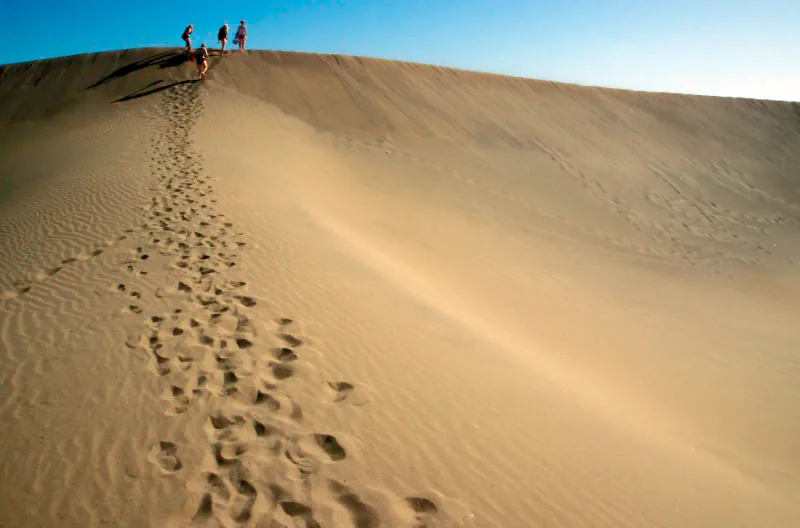 Dunas de Maspalomas — what to see in Gran Canaria