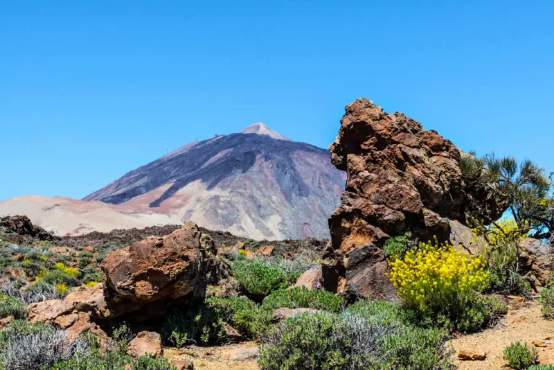 Parque Nacional del Teide — what to see in Tenerife