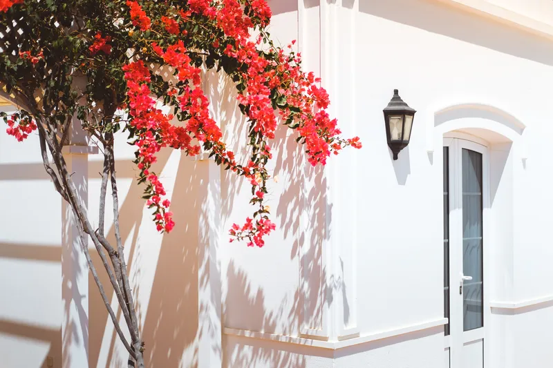 Apartment Bali Plus — Apartamentos LIVVO Coloradamar, Playa Blanca 6