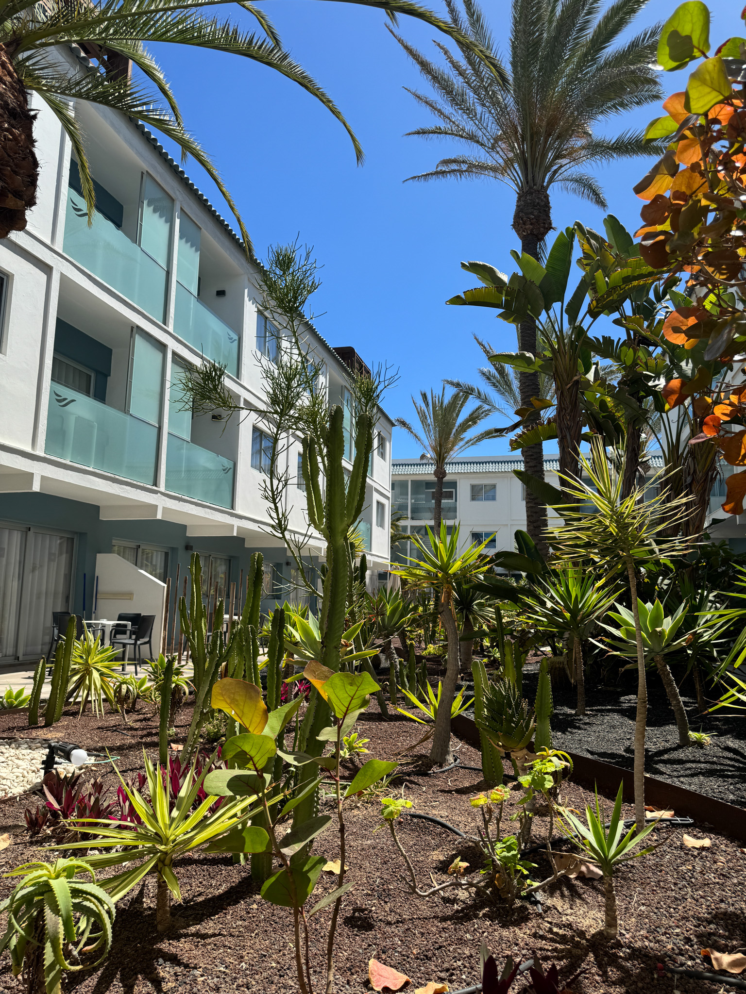 BRISTOL_SUNSET_BEACH_Facilities_ (9).jpg