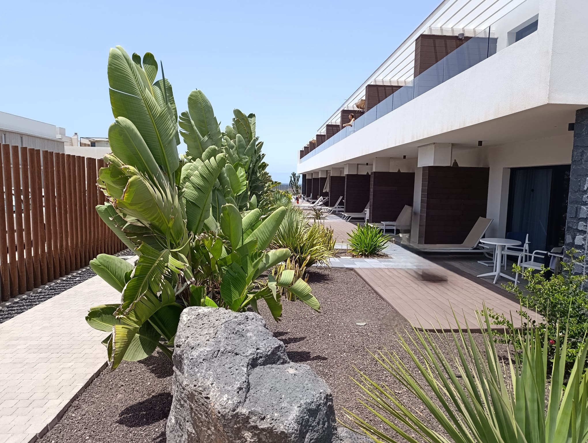 ESMERALDA_COTILLO_HOMES_ BY_LIVVO_OUTDOOR (6).jpg
