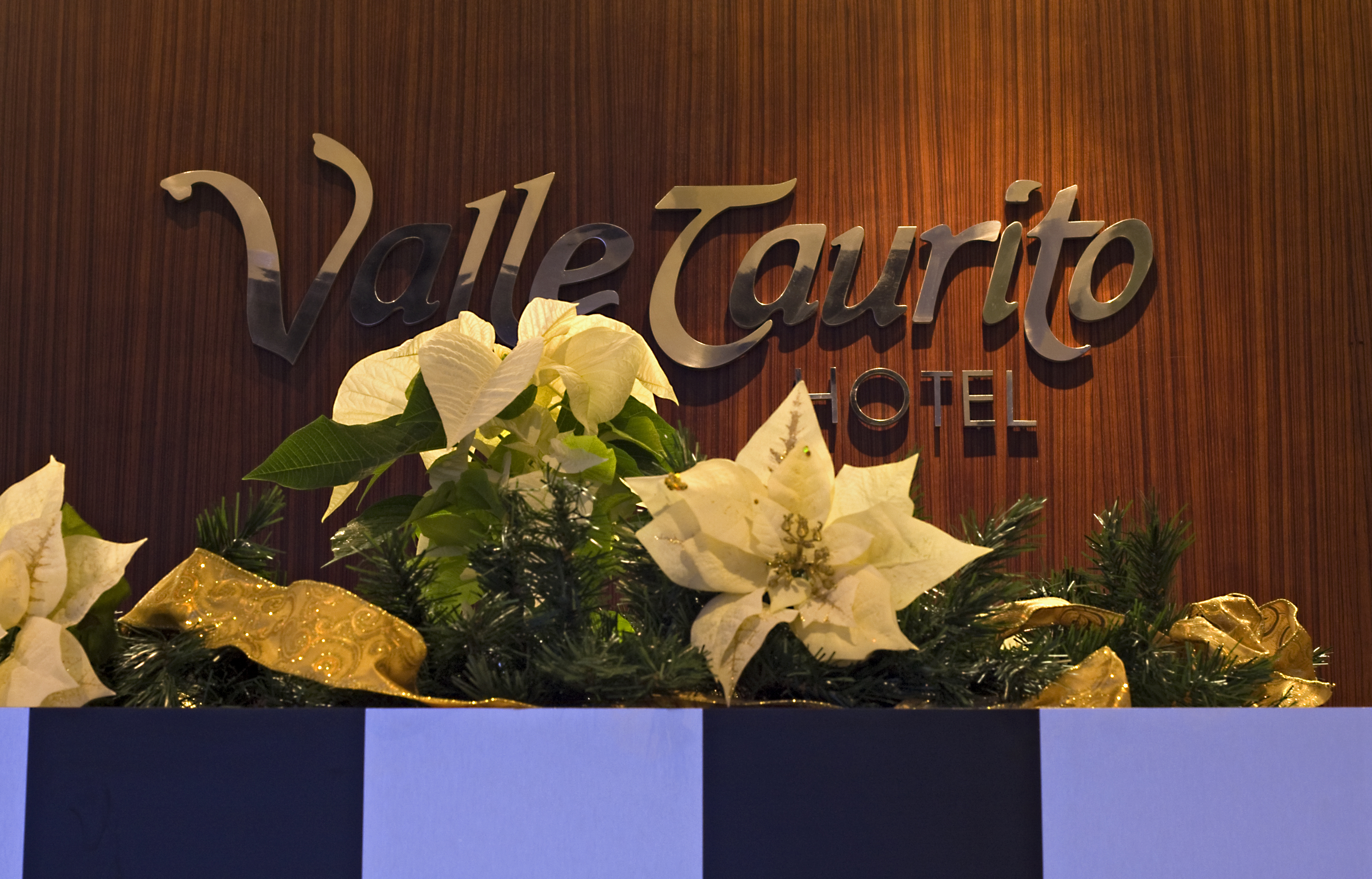 LIVVO_VALLE_TAURITO_RECEPCION (1).jpg