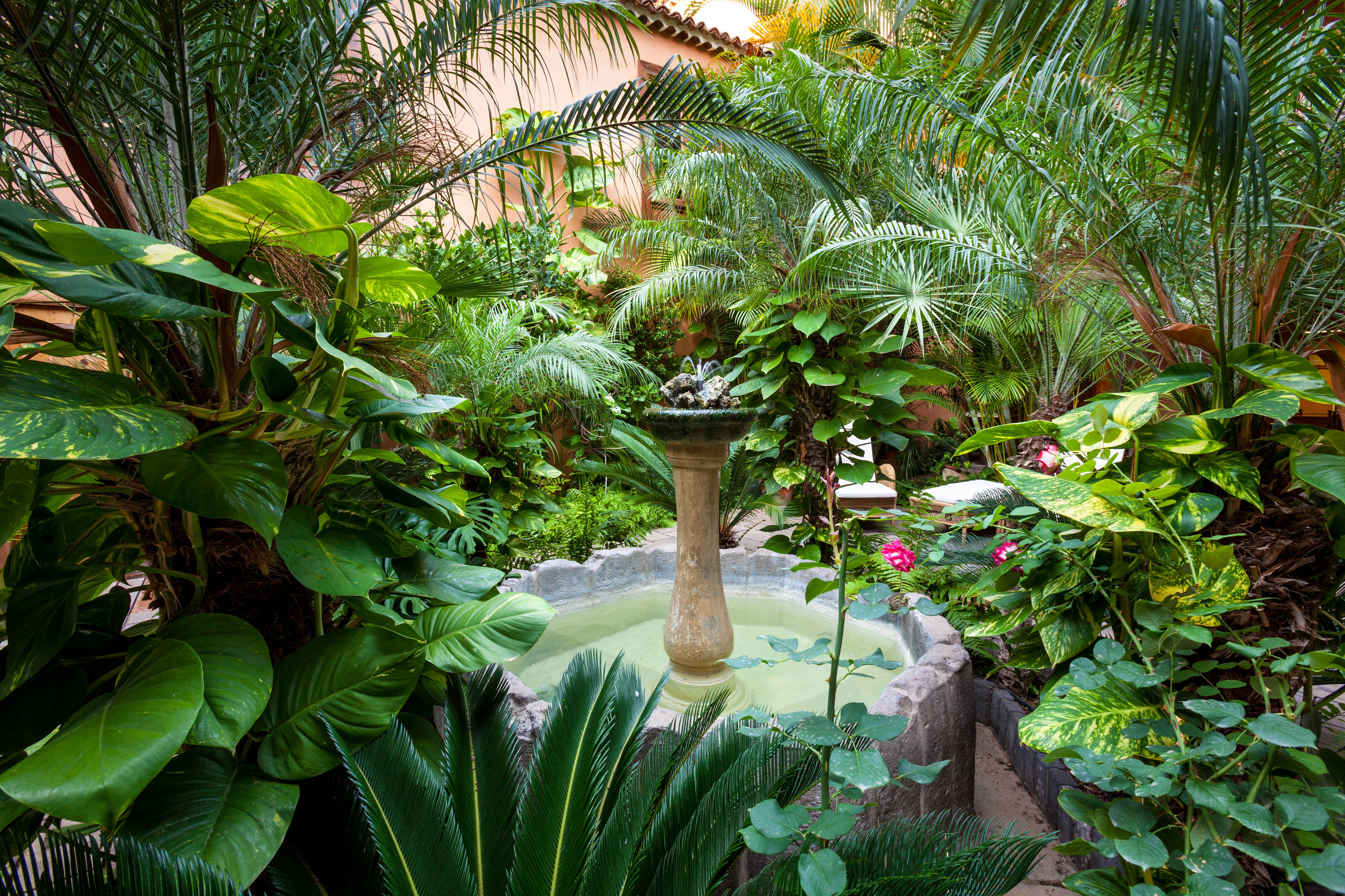 LIVVO_LA_QUINTA_ROJA_EXTERIOR (6).jpg